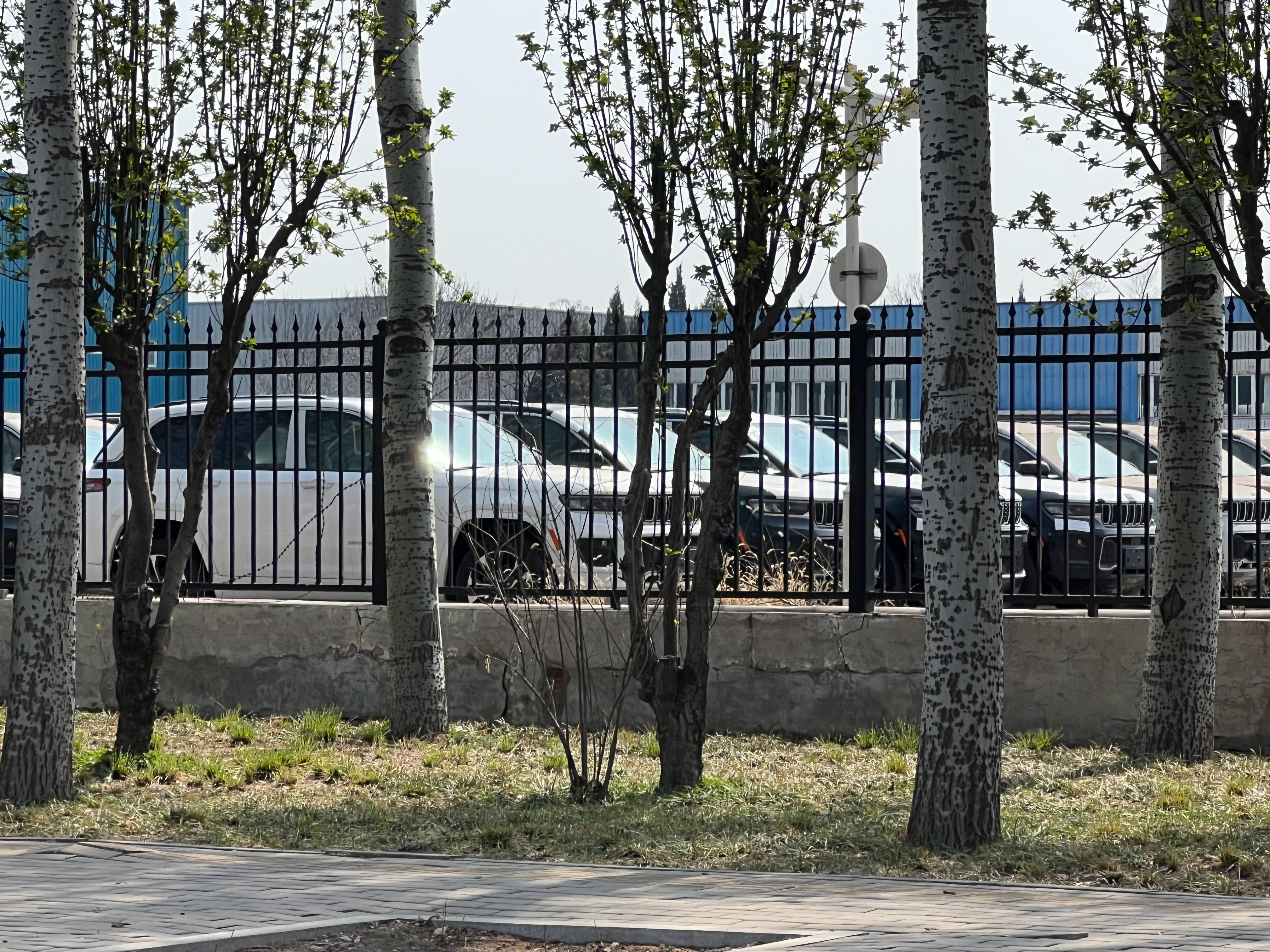 嚯！ 这么多大切呢 天津