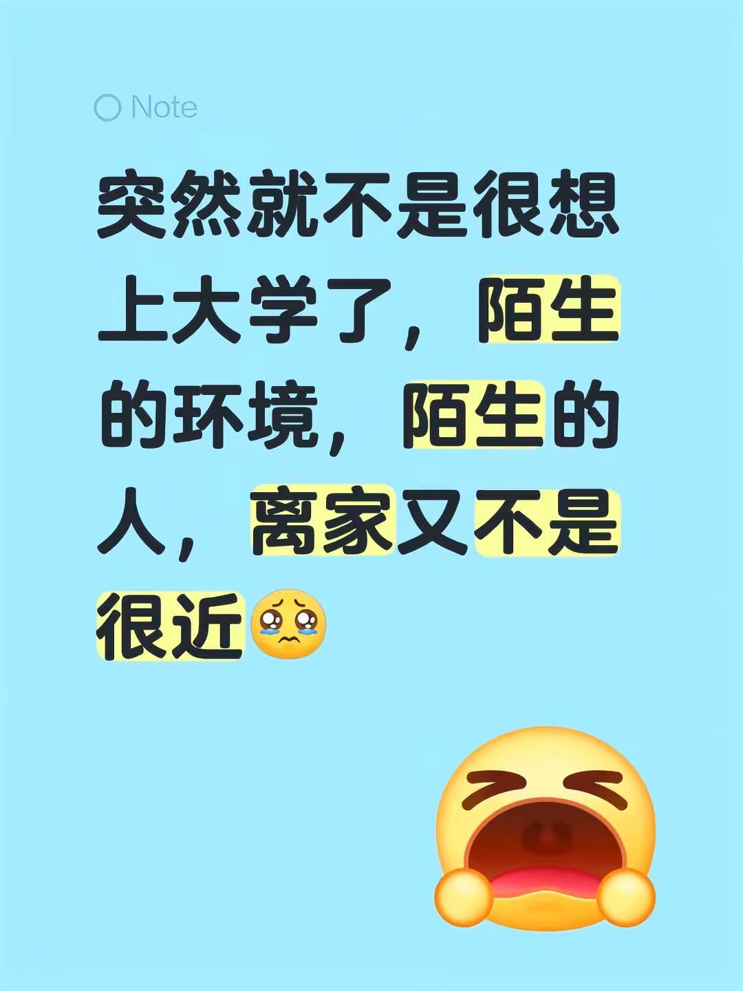 突然就不是很想上大学了，陌生的环境，陌生的人，离家又不是很近大学环境 开学
