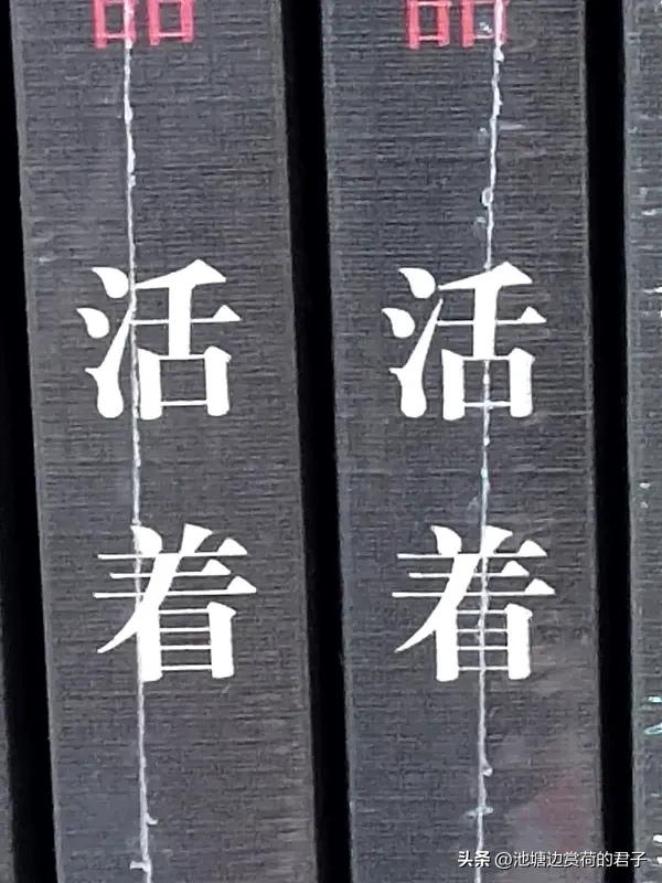 总是有人说,活着的意义是什么? 总有人问活着的意义是什么，这问题就像一团迷雾，每