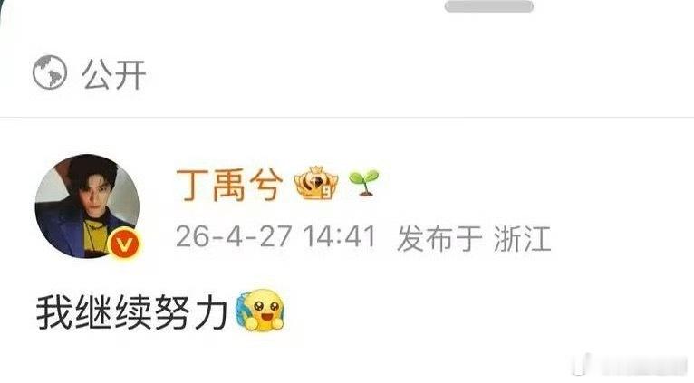 狐厂的文章懂的都懂啦！丁禹兮加油，喜欢和支持真诚的演员丁禹兮