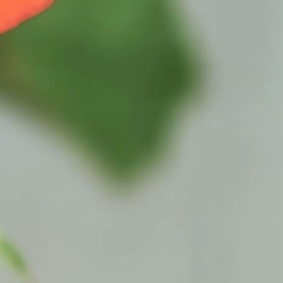 善良和爱都是免费的，但不是廉价的，你的善良，需要带点锋芒，你的爱，需要带些理智，