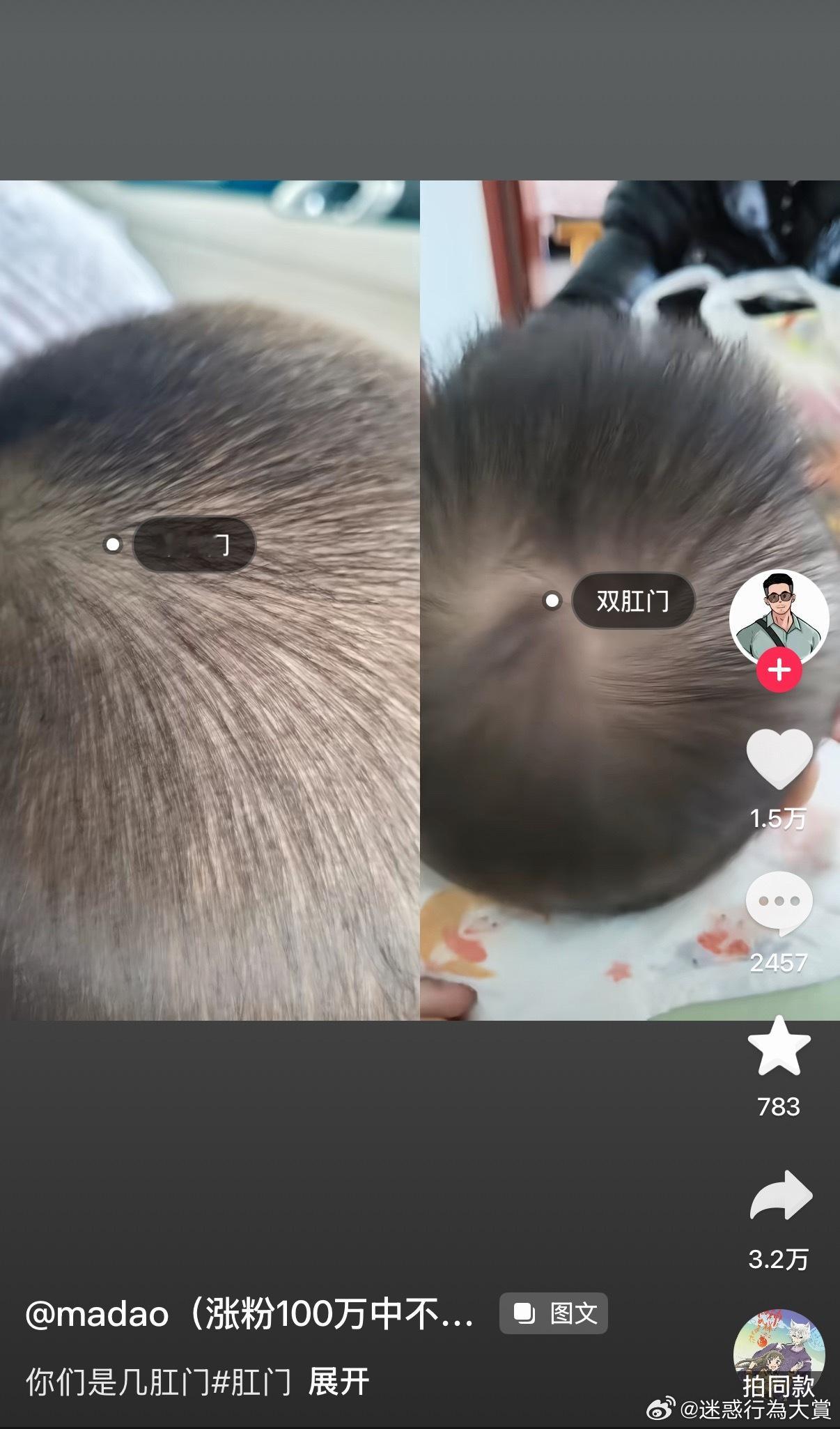 哦哦 