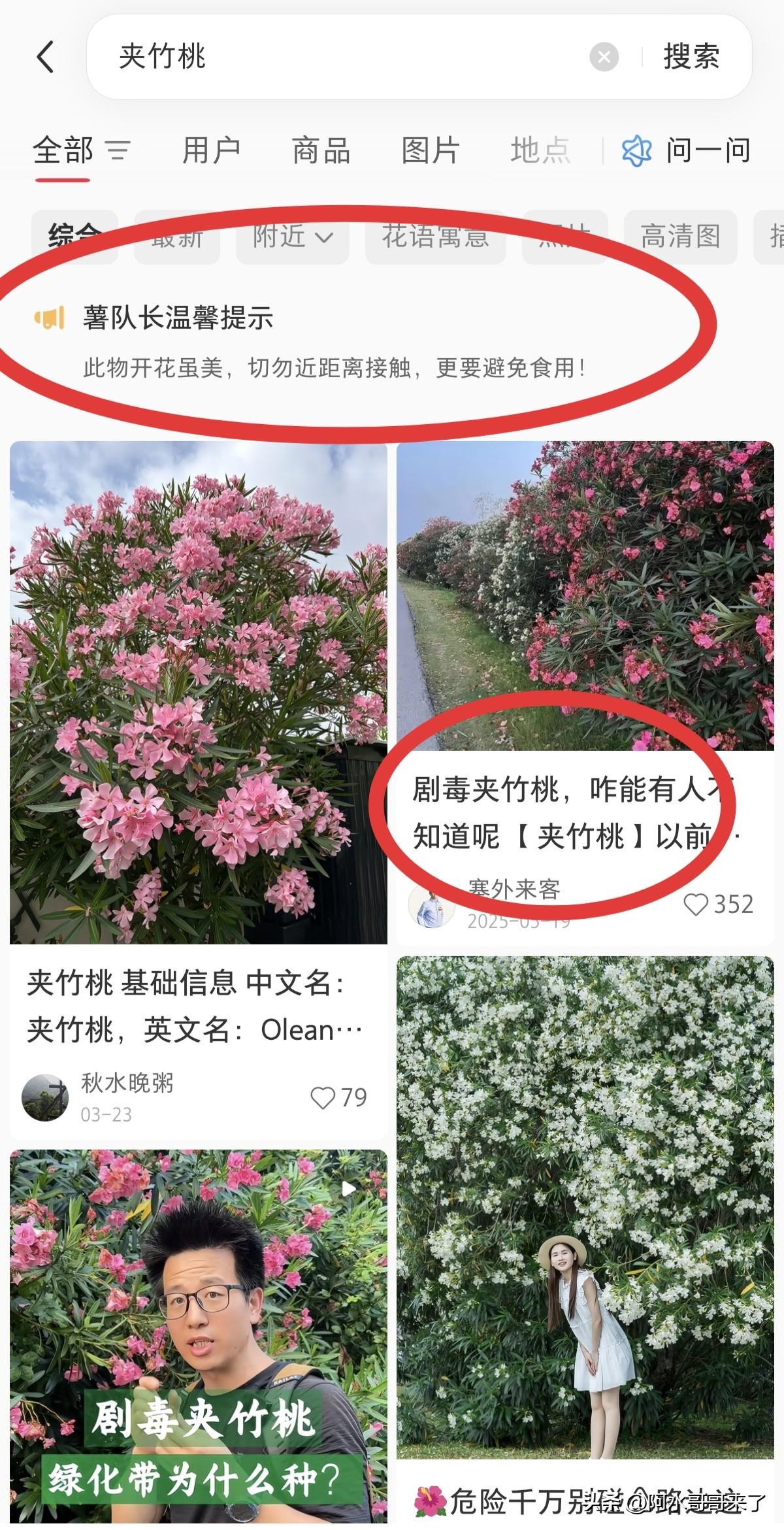 这是姐妹们最该相信小红书一集，你们怎么就不做个攻略呢？夹竹桃有毒几乎每年都会上热