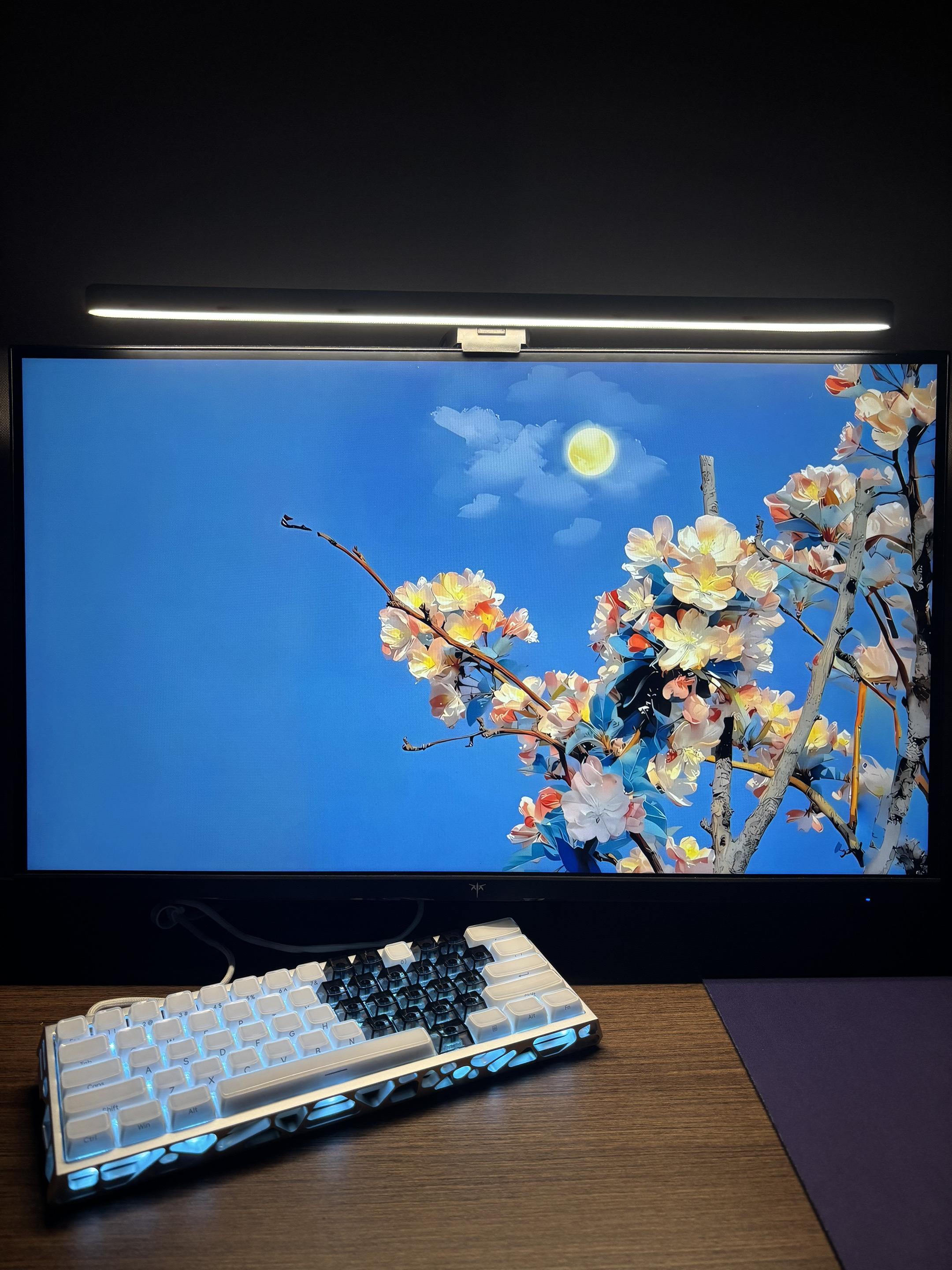 “凌晨四点，我看见海棠花未眠”