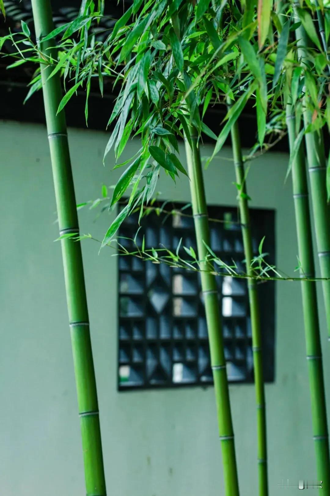 上联:桃花树下谁邀酒
下联:竹影窗前月抚琴
横批:闲情雅致