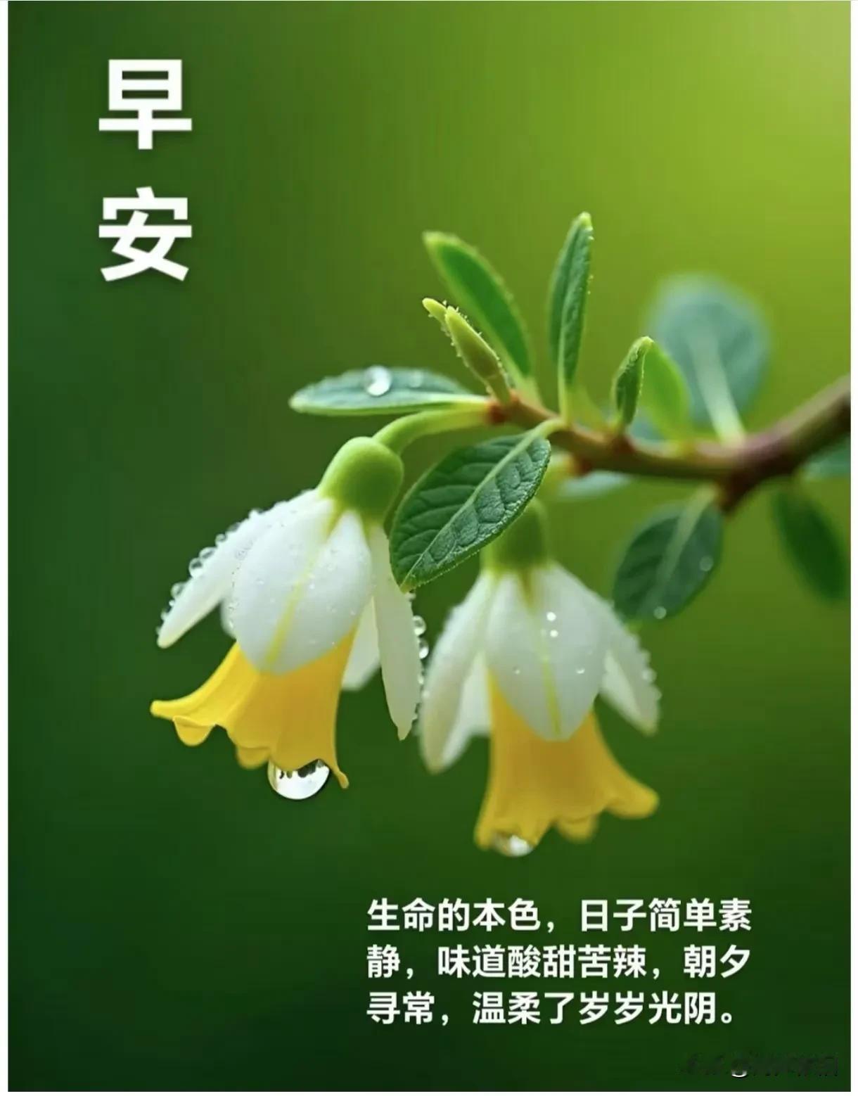 《卜算子·惜缘寄友》

牵挂伴相思，
情谊随祈走。
纵使经年未相逢，
惦念常相守
