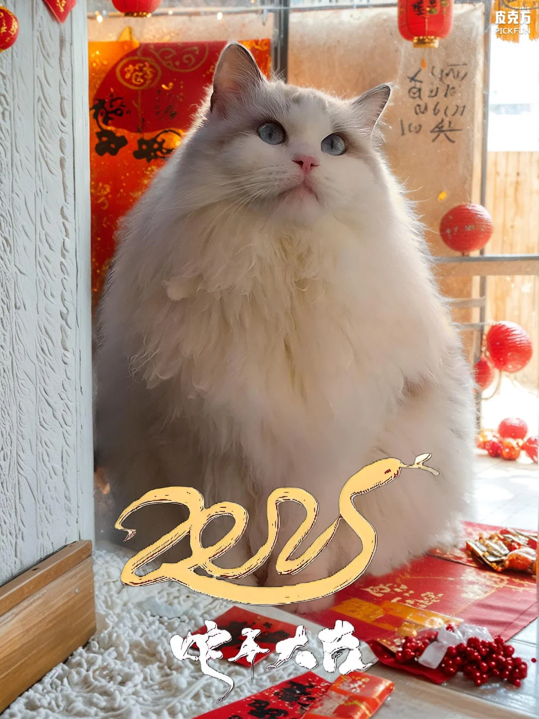 好好过年大赏 送你一张新年壁纸 宠物也要过春节 我家年味刚刚好 薯光伴...