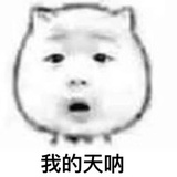 大猴子吹体育