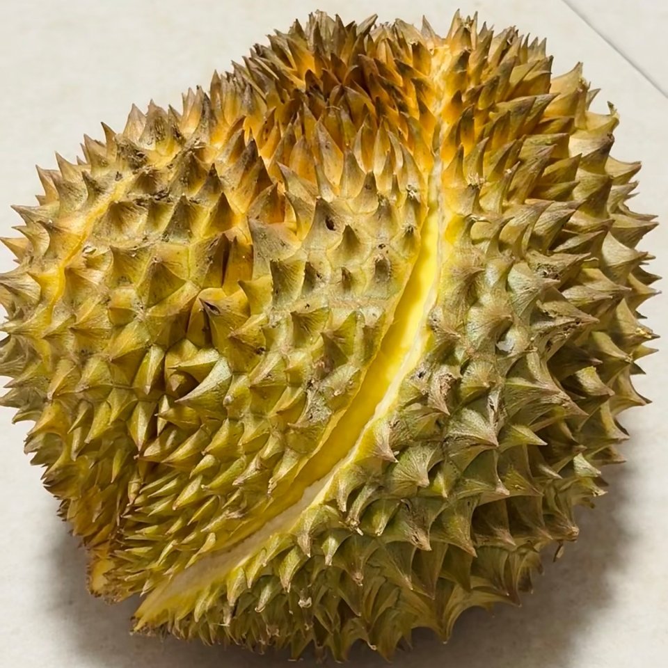 呀米呀米 (๑ᵔ⤙ᵔ๑) 