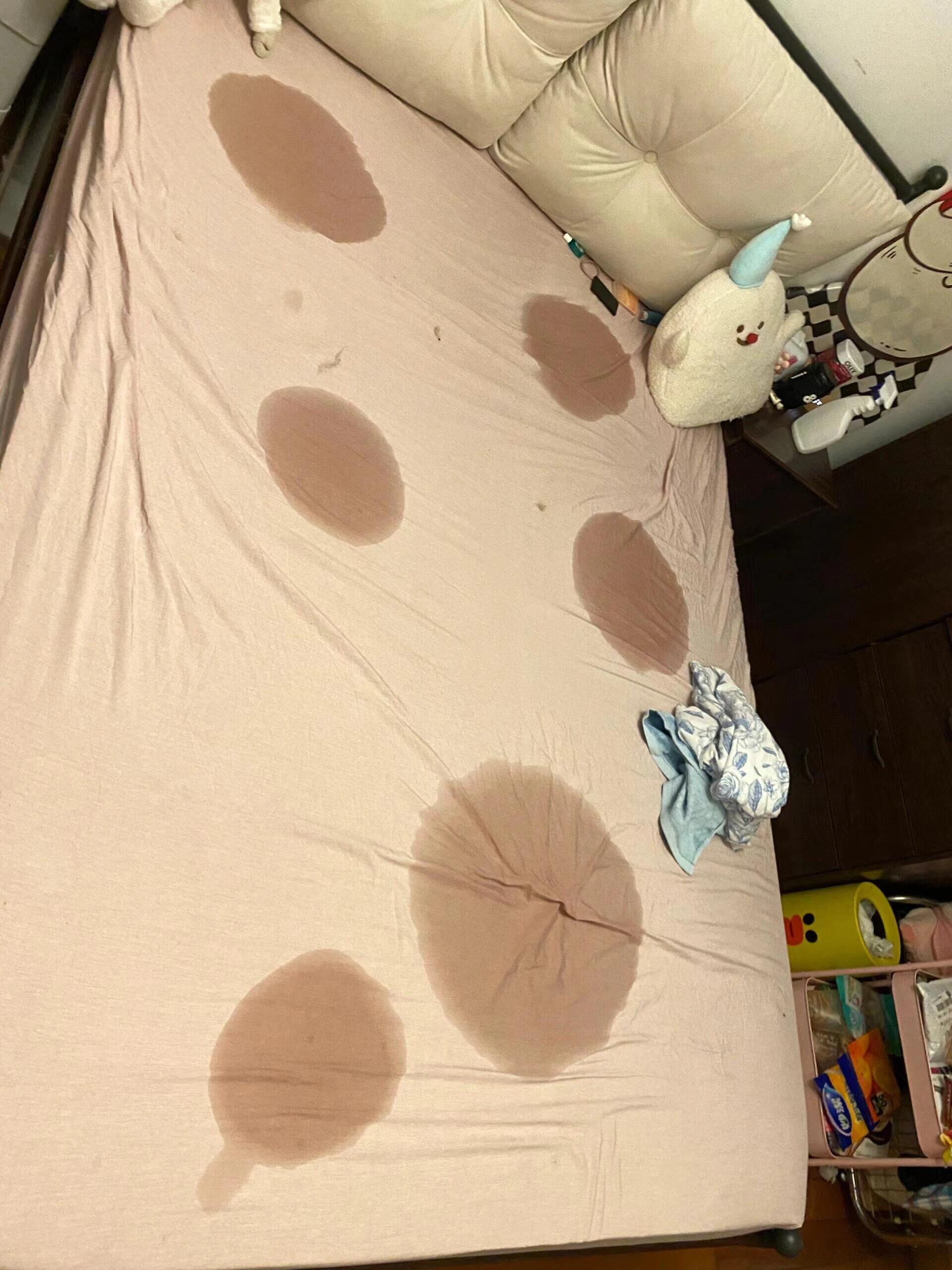 我家猫给我尿的其实我好奇，为什么不在一个地方尿 