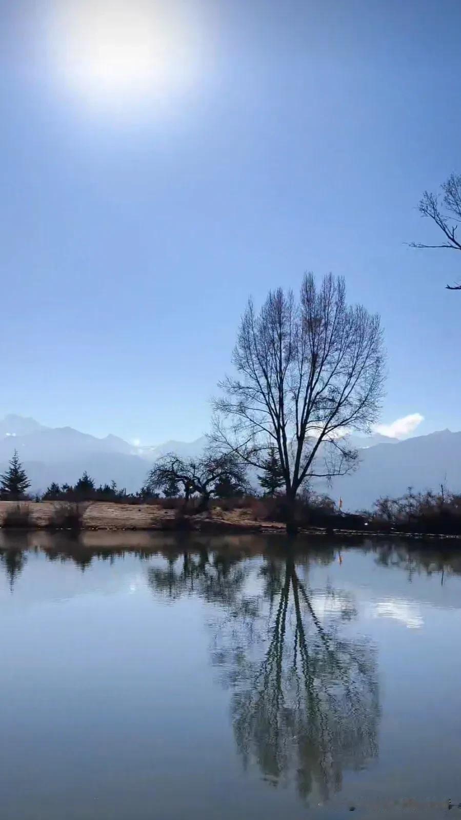 静谧湖畔，光影交融，大自然的美景尽收眼底。湖边美景🌊 美景湖边看