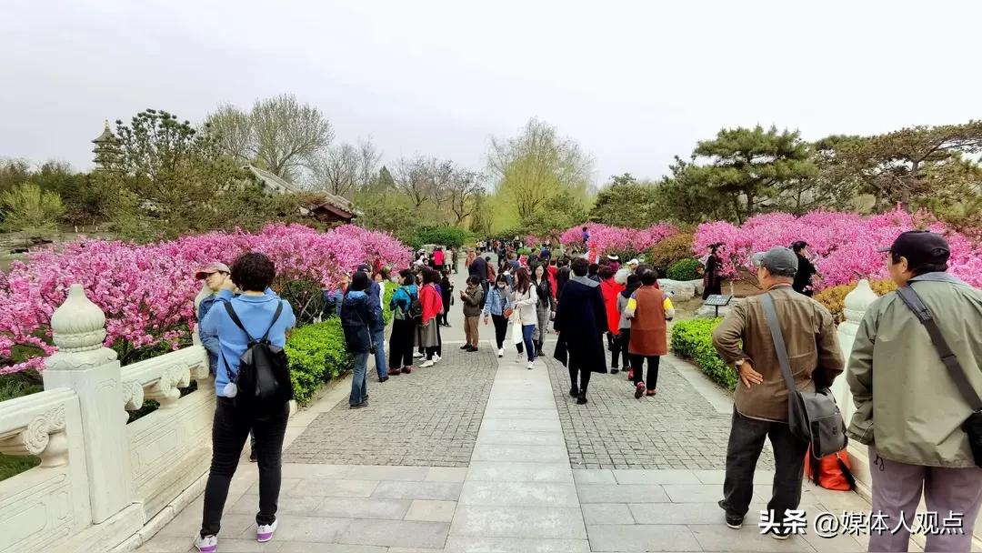 终于告别了寒冷的冬天，终于告别了寒冬，户外几乎没有绿的冬天，春天来了！
常言说一