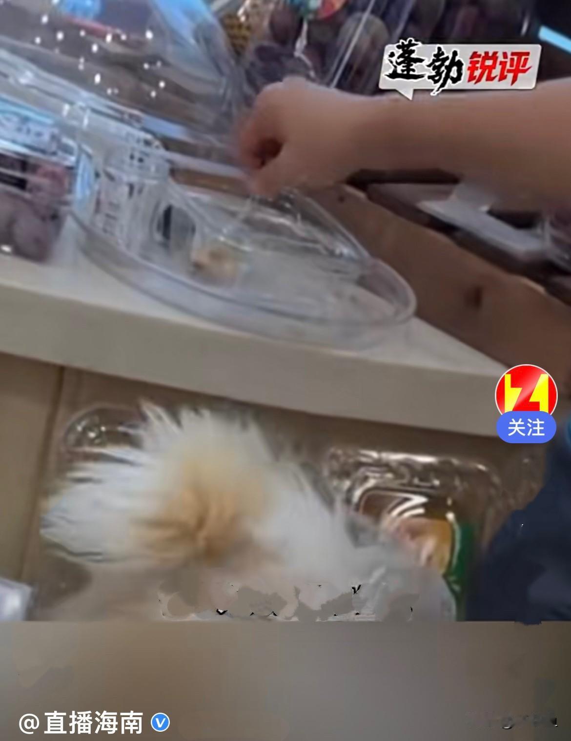 近日，广东广州一名女子牵着三条大型犬走进百果园水果店，本来食品门店，带宠物进店就