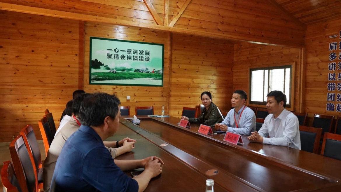 科技特派员牵手代表谱写台州助农共富乐章天台祥和村举办茶源探访活动，科技特派员化身