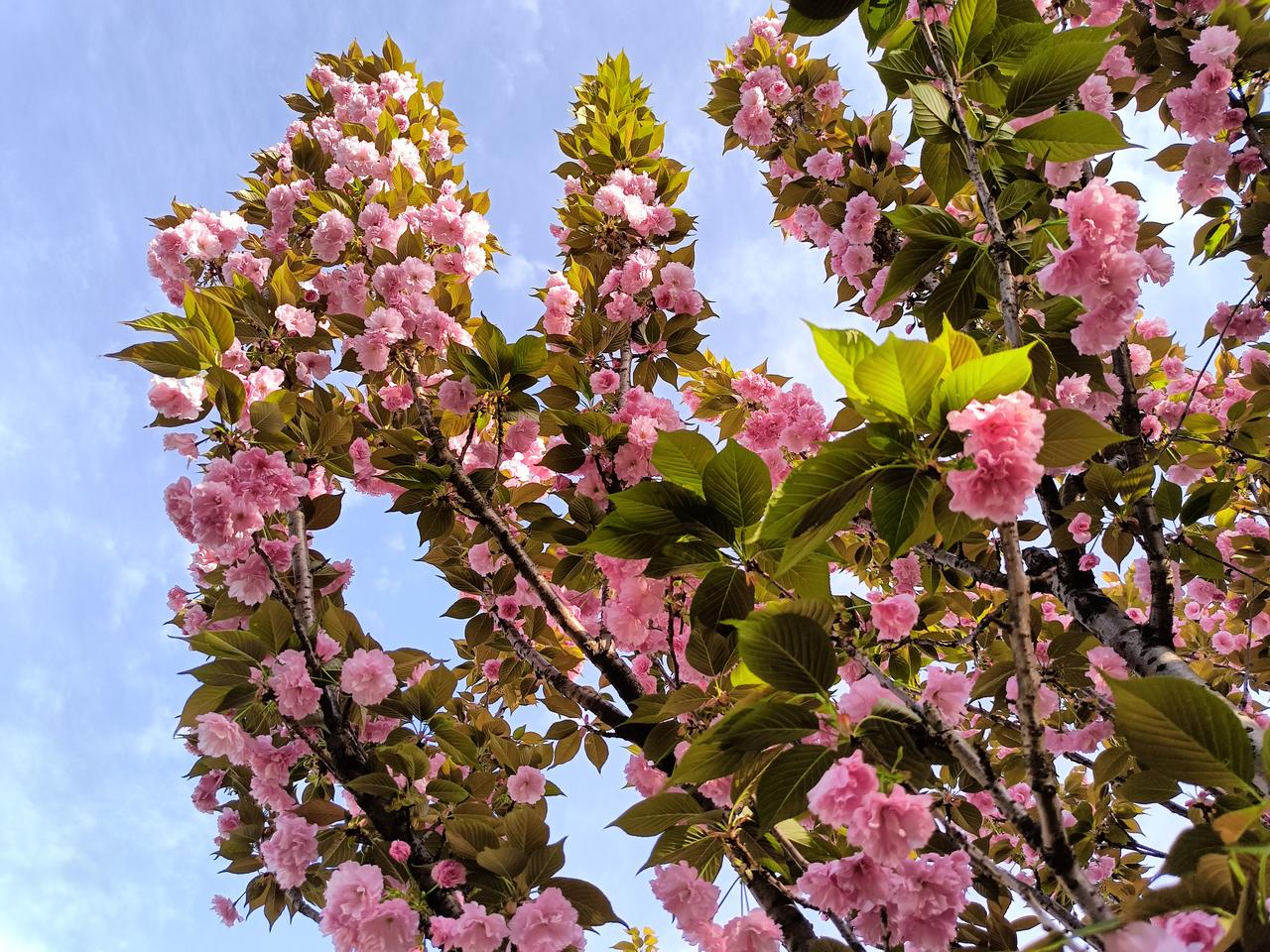 有些人或事，适合烂在心里
 
岁月行至深处，渐渐懂得，并非所有心事都要诉诸言语，