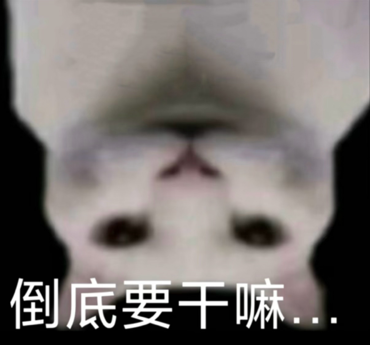 我昨晚刚定好的机票，今天就刷到基建燃油下调
