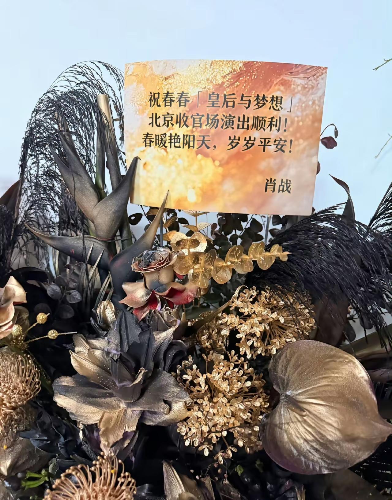 肖战李宇春友谊长长久久