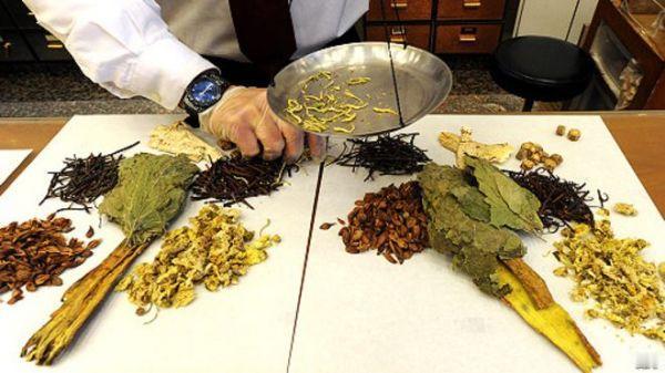 教你一招，坚持30天，改善颈动脉斑块，血管畅通无阻

1、气血调和，百病不生
在