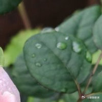 生活有时忙碌，有时平淡，但总有些细碎的温柔，像不经意间吹来的风、洒在肩头的阳光，