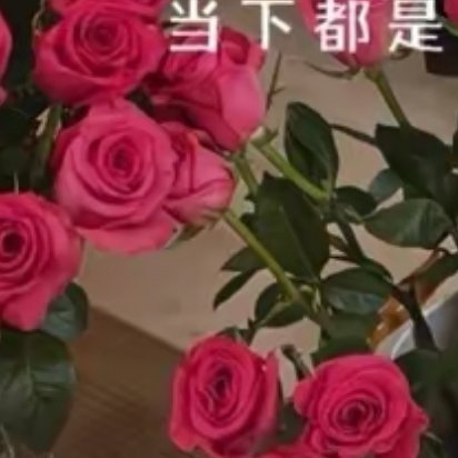 把烦恼折成纸船，随晨风飘向远方；将期许装进背包，与朝阳一同启程。日子是细水长流的