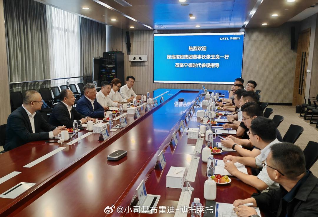 吴妈跟着张玉良去了宁德时代考察这也是两个月前宁德时代来沪考察后，双方第二次碰面，
