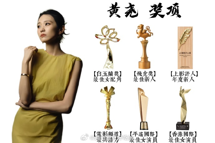 90-00女演员主流奖项实绩图🈶 
