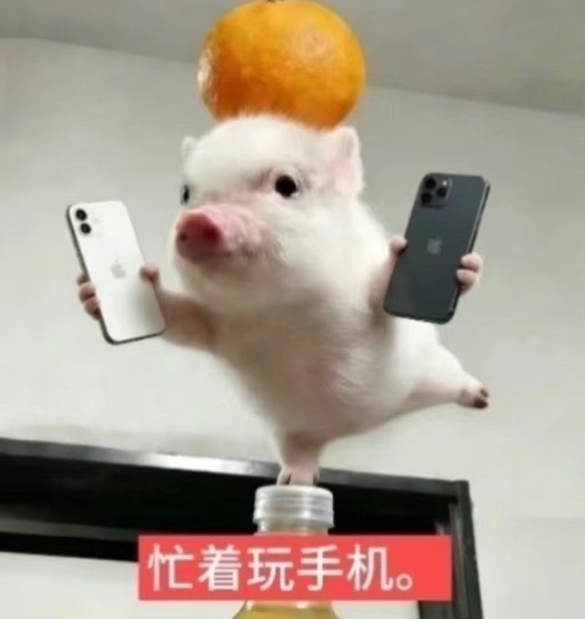 视频鼻音确实是有点鼻音 不知怎么鼻炎犯了 现在好多了 我要煮螺蛳粉去！➕多多豆芽