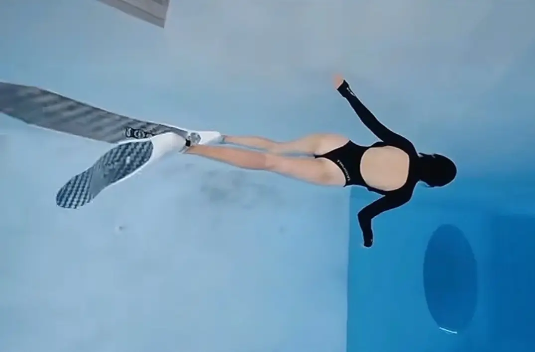 这个夏天🐡🌊🐟🐚