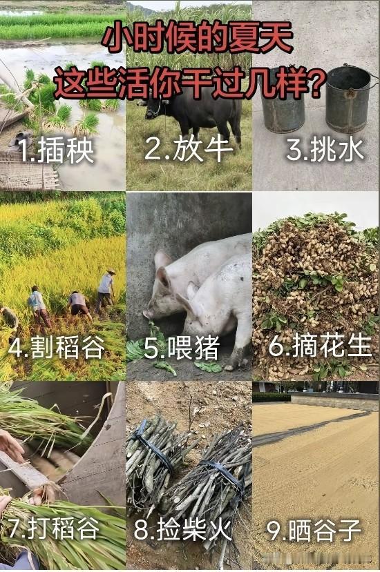 小时候的夏天，都做过的9种农活，干过8个以上都是好孩子，都有着“完美”的童年！