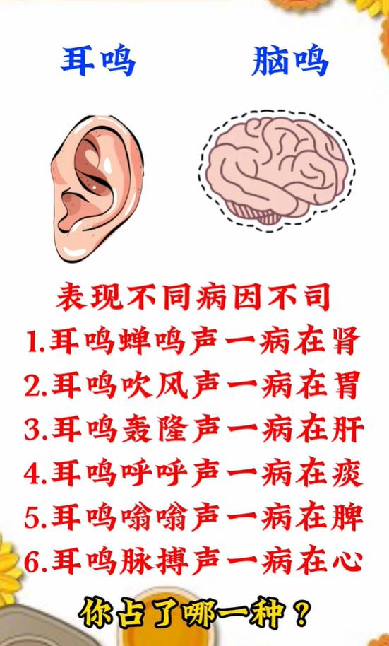 耳鸣脑鸣分清 6 种声响，对应脏腑各有不同