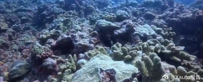 新建黄岩岛国家级自然保护区这是“守土有责，治土有方”的生动体现。黄岩岛是中国固有