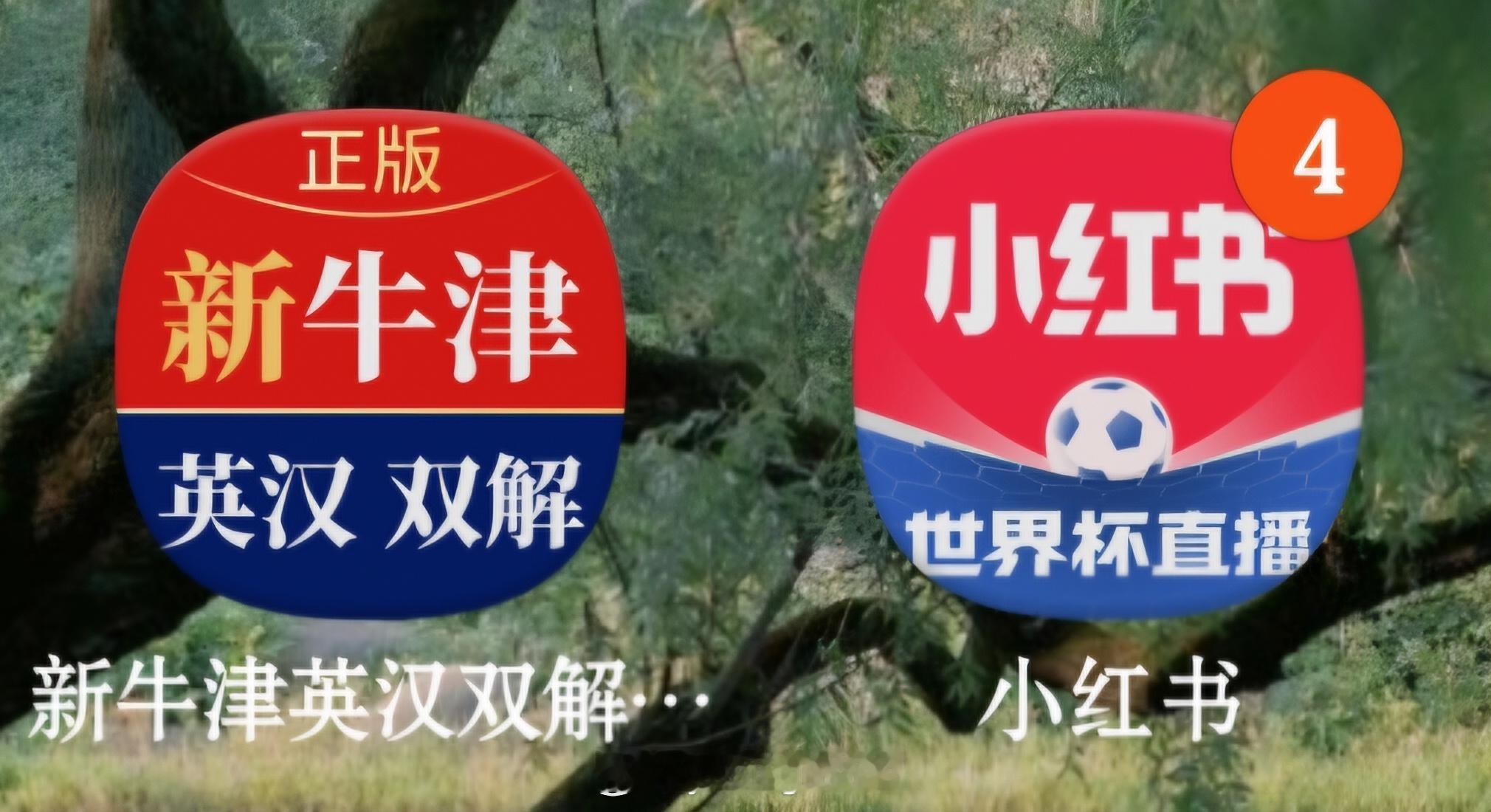 这下谁能分得清小红书和牛津大词典（ 