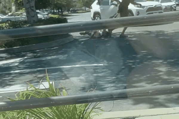 8月14日，美国加州i。一名76岁的华裔老太在光天化日之下遭到一名人高马大的黑人