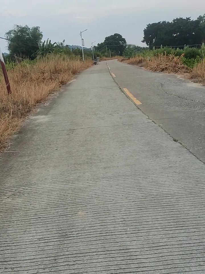 分享一个我常走的小路，就是青岛老城区的福山支路。
避开大学路和黄县路的人流，拐进