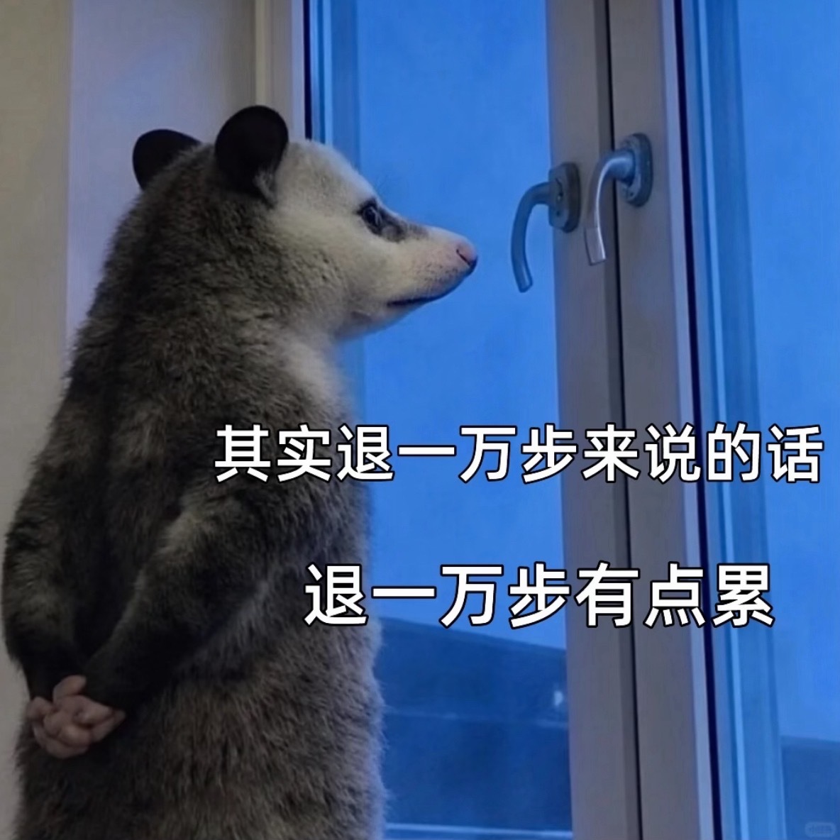 游客心态做任何事情都应该有游客心态来的，人这一生就是来体验的！！为什么做游客的时