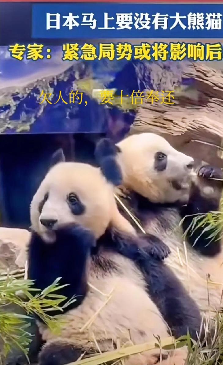 我们该如何应对日本地震？
鉴于目前日本正在遭受大自然灾害，
建议我们应该第一时间