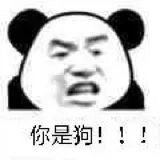 怼人熊猫头表情包 ​​​