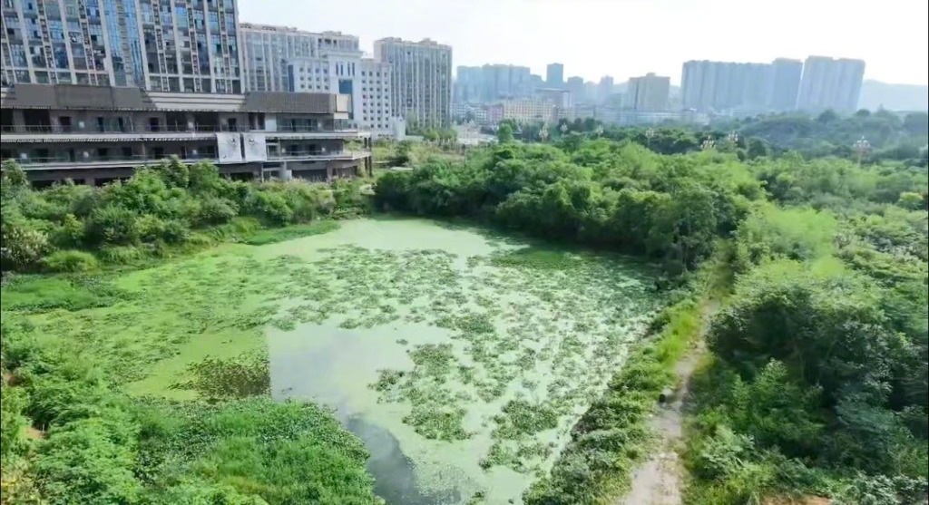 【#湖南祁东奥园广场烂尾7年#：购房户退款难，接盘企业称已付款但还不能退】#女子