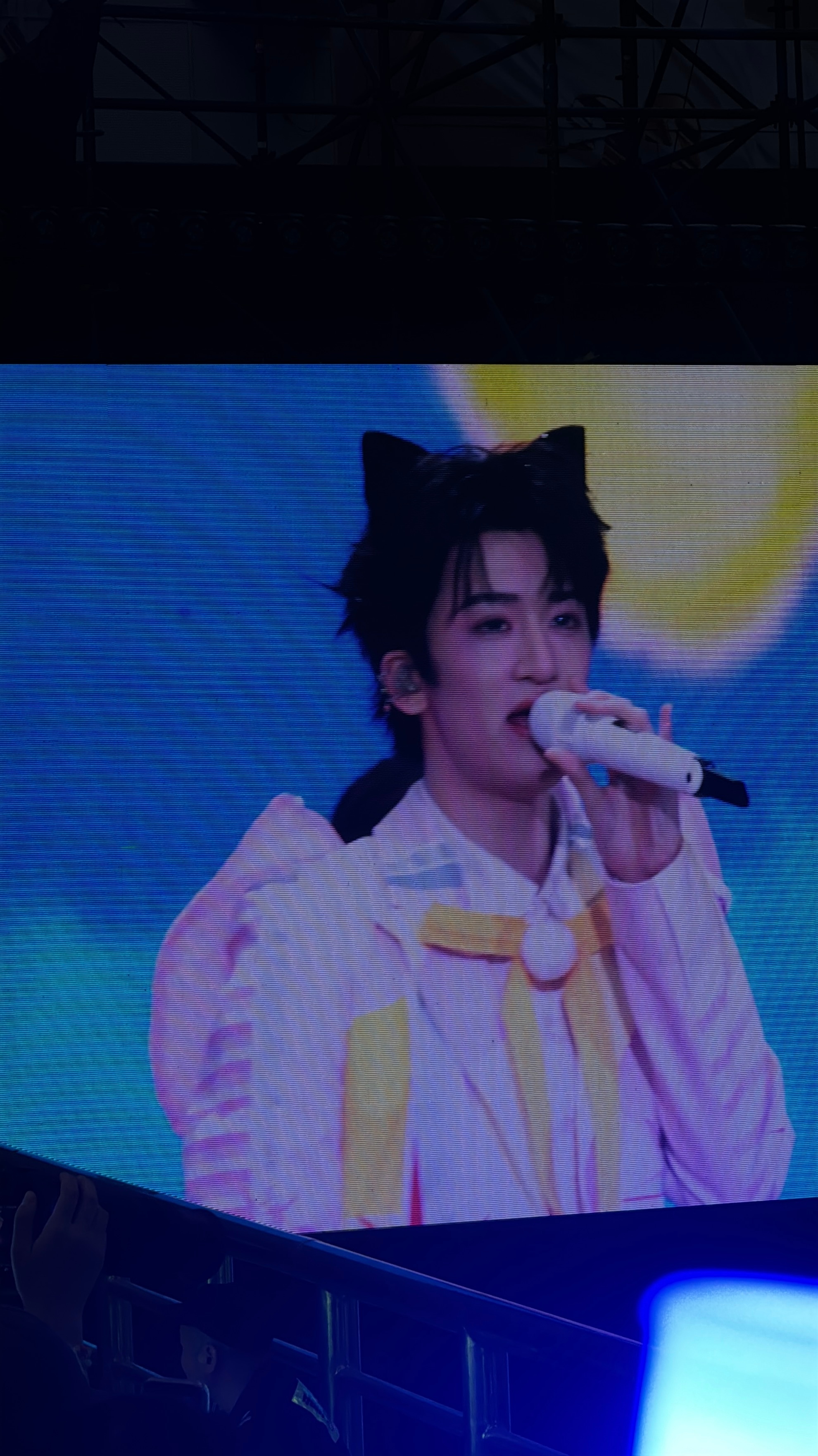 因为你世界不再单调！猫猫大王🐱 