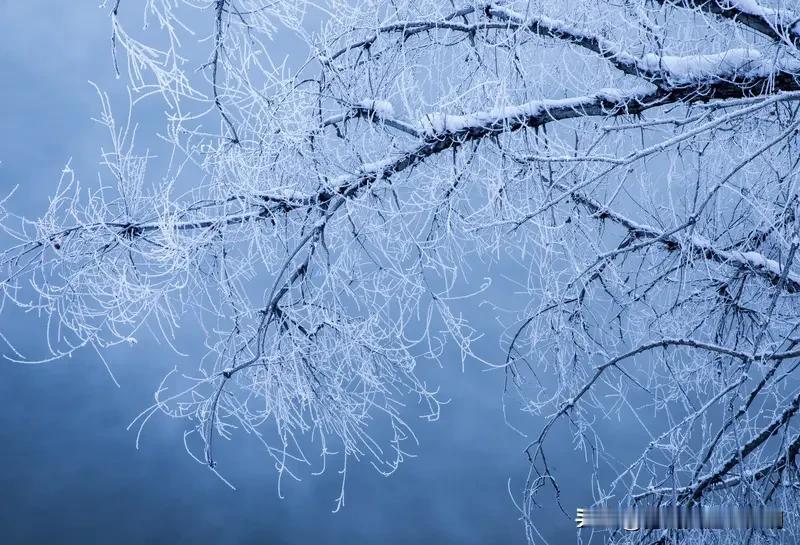 看到“冬去山明水秀”这个上联，一下子就感受到了冬春交替时的美好。我觉得“春归燕舞