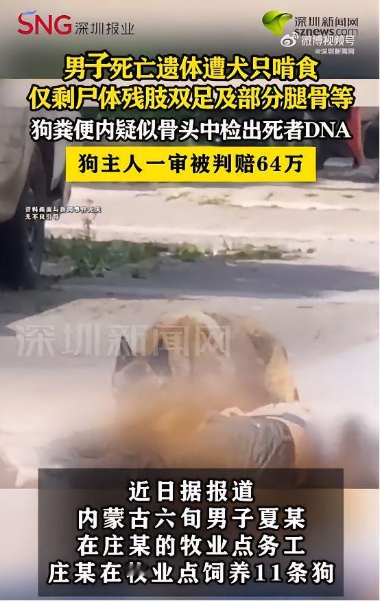 内蒙古有个男的养着11条狗，还请了个60岁的老人来照看。有一天，他去狗场的时候发