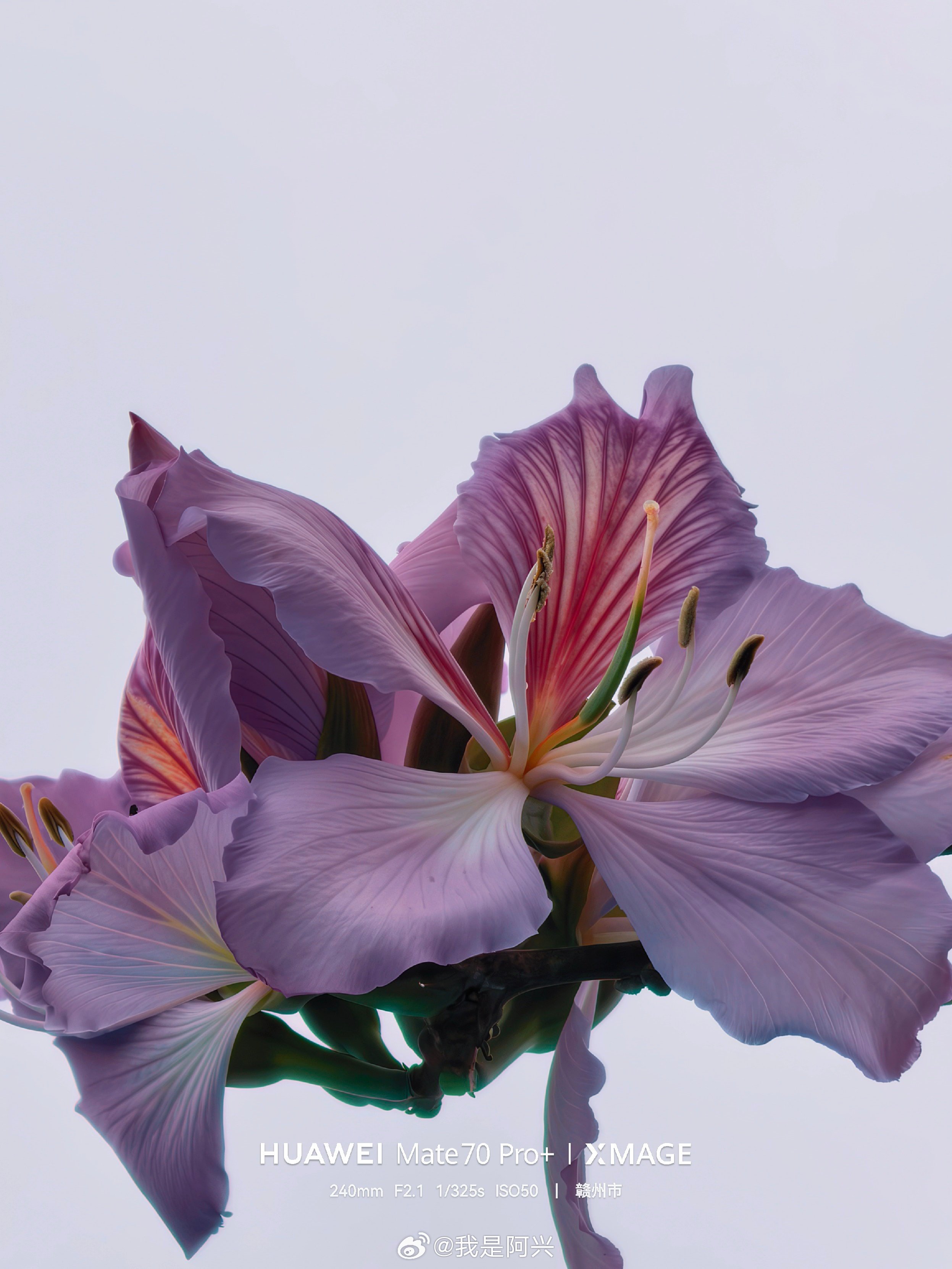 早☀️每日早起打卡