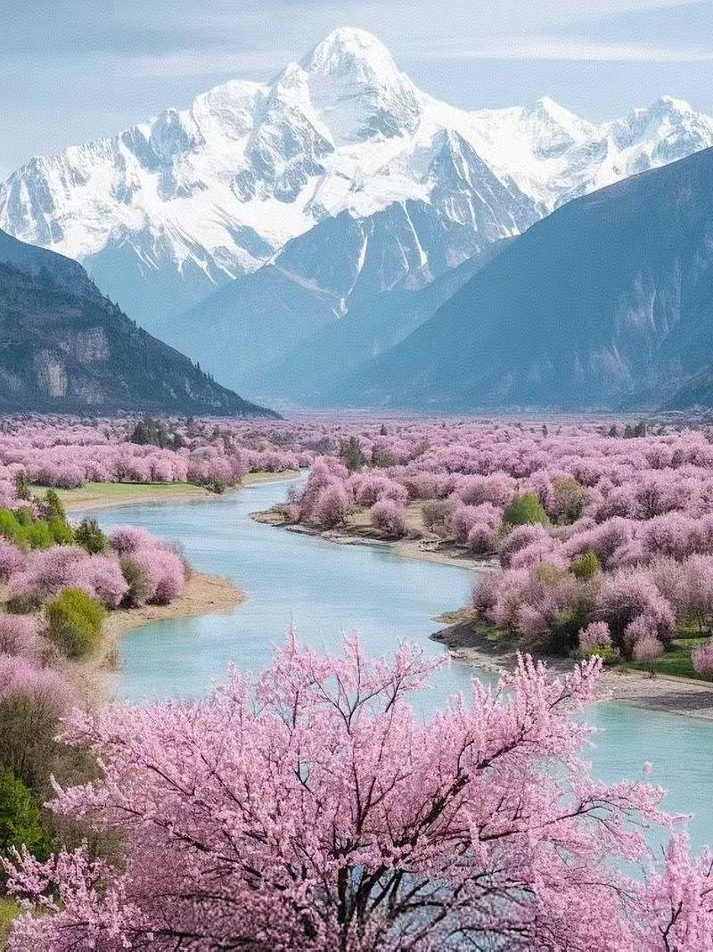 今年春天最想实现的心愿雪山和桃花相伴是一种什么样的感觉，可能谁都无法想象，但它在