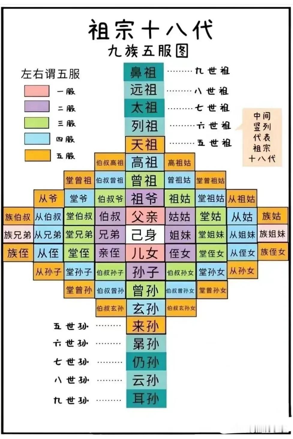 终于有人把祖宗十八代，九族五服图整理出来了！赶紧来涨知识！#我来唠家常#
