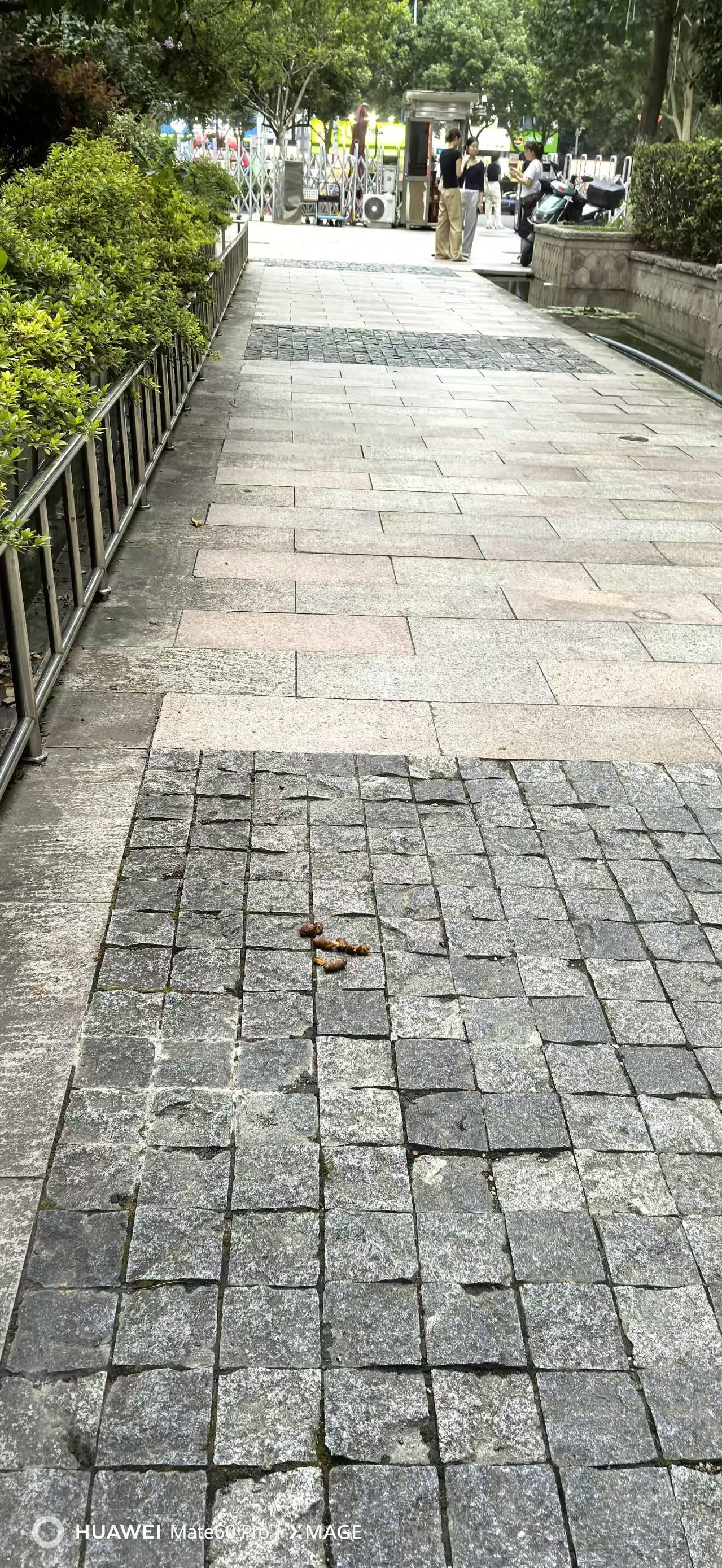 杜绝不文明，图中来找茬[捂脸][捂脸]

你发现了什么？哈哈ヾﾉ≧∀≦)o文明乱