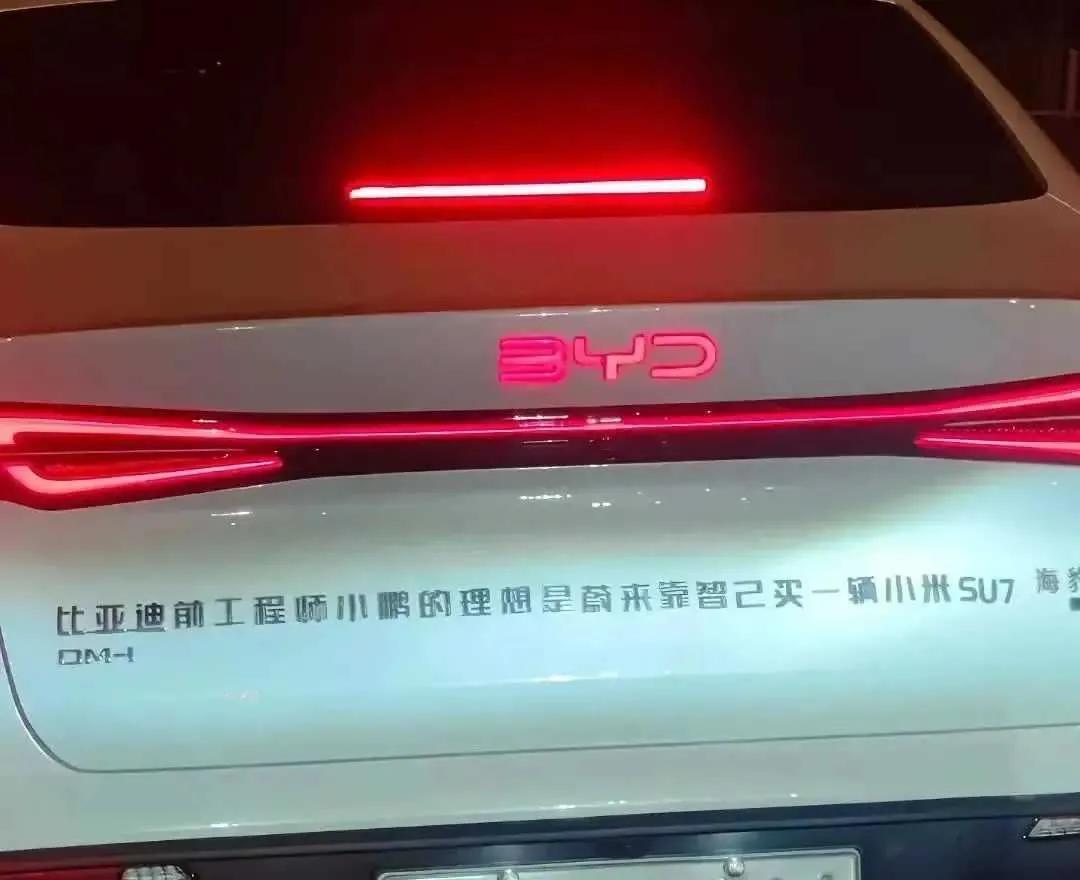 网友：车主很有想法，就是理想是不是小了些。