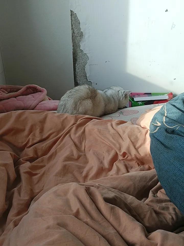 分享一张最近随手拍的照片