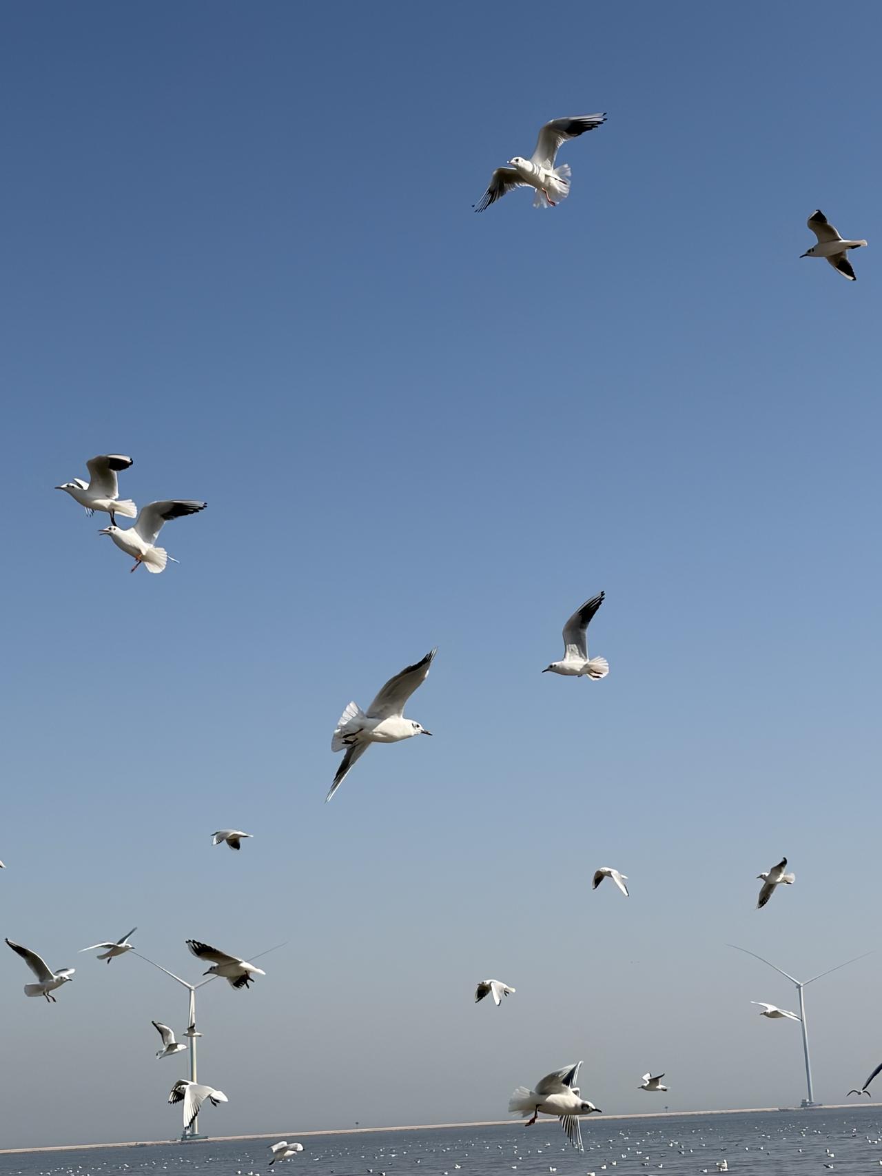 你来时携风带雨，走时乱了四季；让我虽对你恨铁不成钢，却又恋恋不忘！