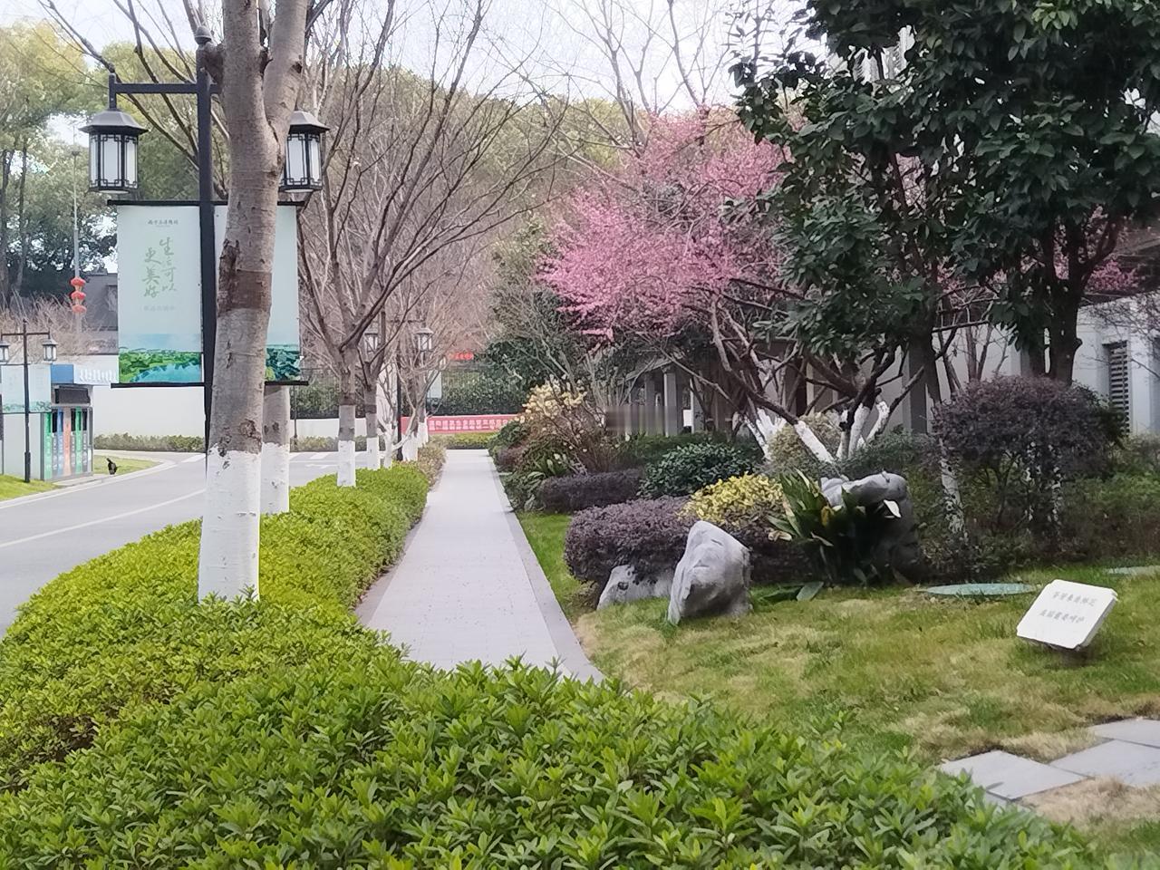 分享一张你相册里的花草照片