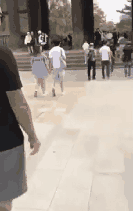 这头小鹿这么通人性？还挺有礼貌
##
人来人往，也不害怕，估计从小就在这里，每一